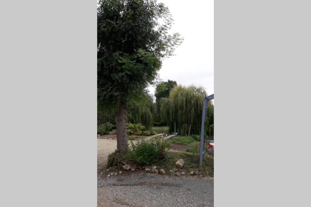 Entre Vignes Et Loire Apartment Blaison-Saint-Sulpice Exterior photo